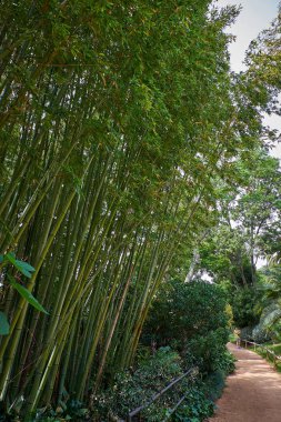 Blanes, Katalonya 'daki Marimurtra Botanik Bahçesi.
