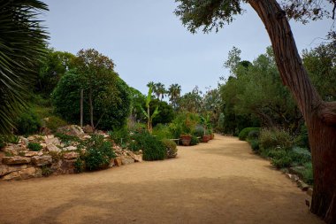 Blanes, Katalonya 'daki Marimurtra Botanik Bahçesi.