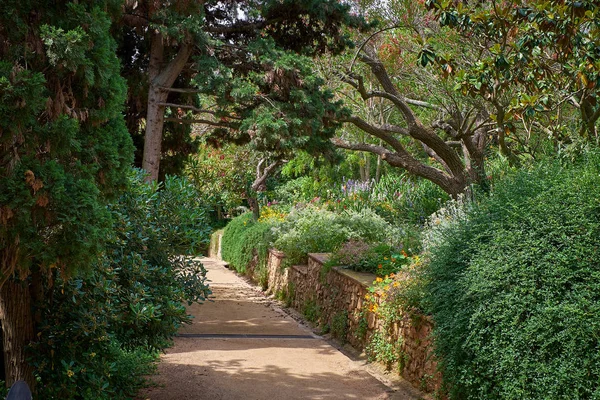 Jardim Botânico Marimurtra Blanes Catalunha — Fotografia de Stock