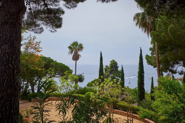 Blanes, Katalonya 'daki Marimurtra Botanik Bahçesi.