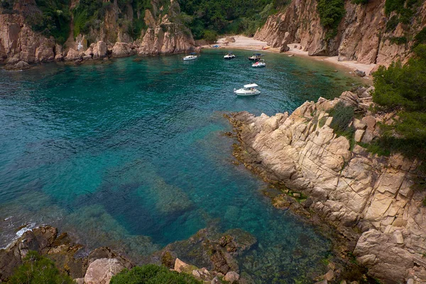 Blanes, Katalonya 'daki Marimurtra Botanik Bahçesi.