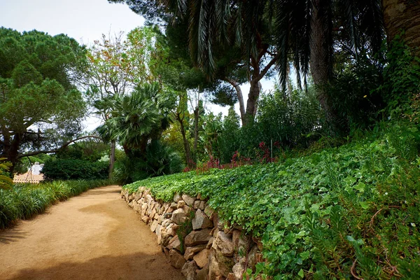 Ботанічний Сад Марімуртра Бланесі Каталонія — стокове фото
