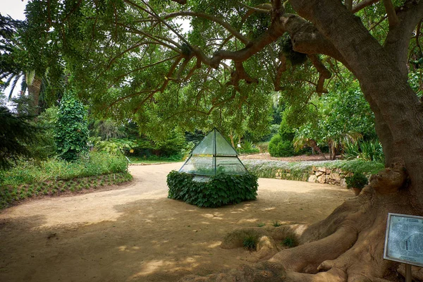 加泰罗尼亚Blanes的Marimurtra植物园 — 图库照片