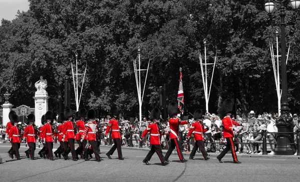 Buckingham Palace Guard London — Stock Photo, Image