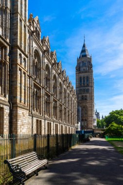 İngiltere, Londra 'daki Doğal Tarih Müzesi
