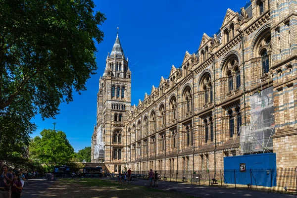 Muzeum Historii Naturalnej w Londynie, Wielka Brytania — Zdjęcie stockowe