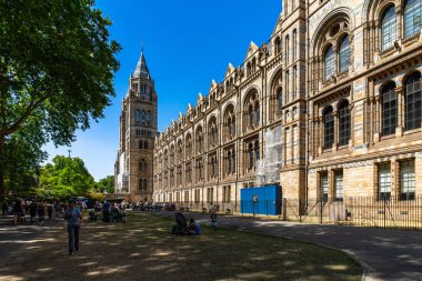 İngiltere, Londra 'daki Doğal Tarih Müzesi