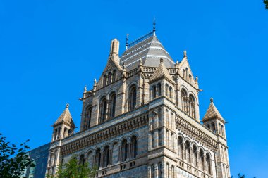 İngiltere, Londra 'daki Doğal Tarih Müzesi