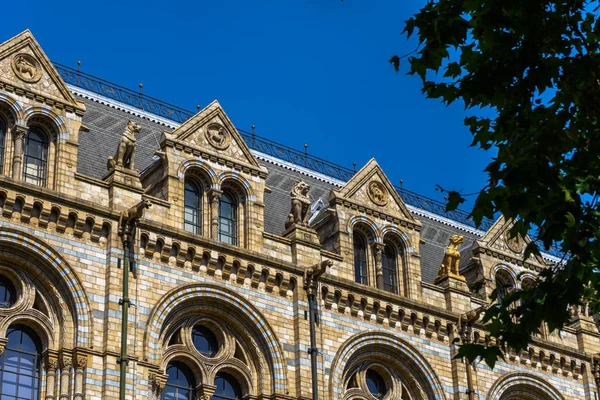 Museo de Historia Natural de Londres, Reino Unido — Foto de Stock