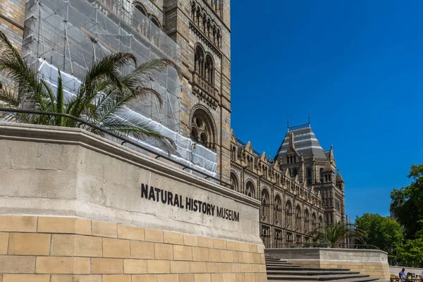 Naturhistorisches Museum in London, Großbritannien — Stockfoto