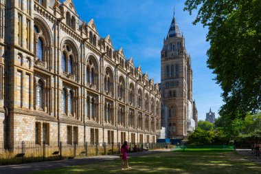 İngiltere, Londra 'daki Doğal Tarih Müzesi