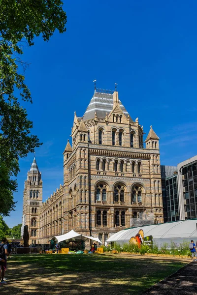 Muzeum Historii Naturalnej w Londynie, Wielka Brytania — Zdjęcie stockowe