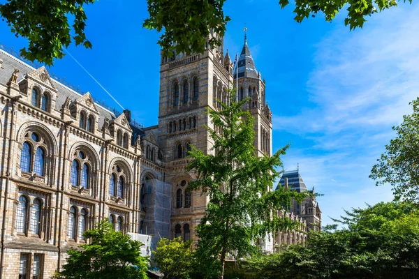 Natural History Museum à Londres, Royaume-Uni — Photo