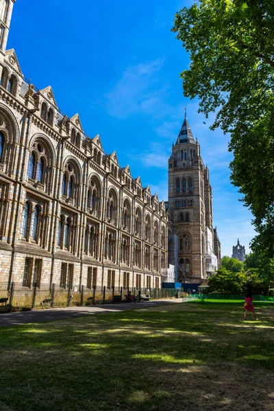 Muzeum Historii Naturalnej w Londynie, Wielka Brytania — Zdjęcie stockowe