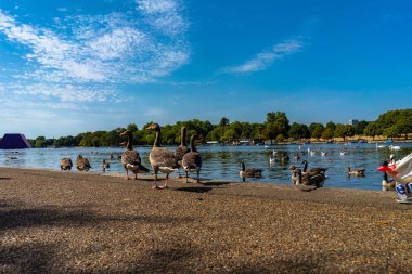 Londra 'daki Hyde Gölü Parkı, İngiltere, İngiltere