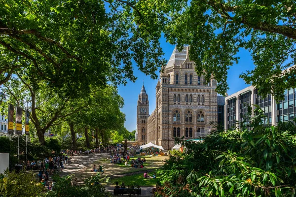 İngiltere, Londra 'daki Doğal Tarih Müzesi