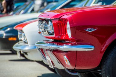 Ford Mustang devre de Barcelona, Catalonia, İspanya.