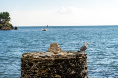 Costa Brava, Katalonya, İspanya 'da kadavra manzarası.