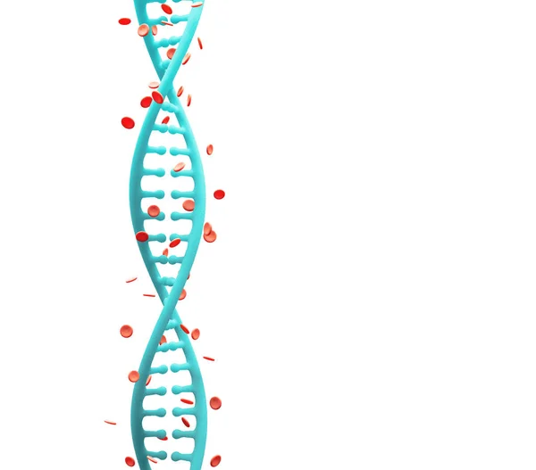 ヘモグロビンとDNA鎖 — ストック写真