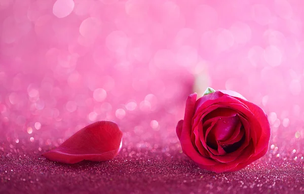 Rote Rose Und Blütenblatt Vor Glitzerndem Hintergrund — Stockfoto