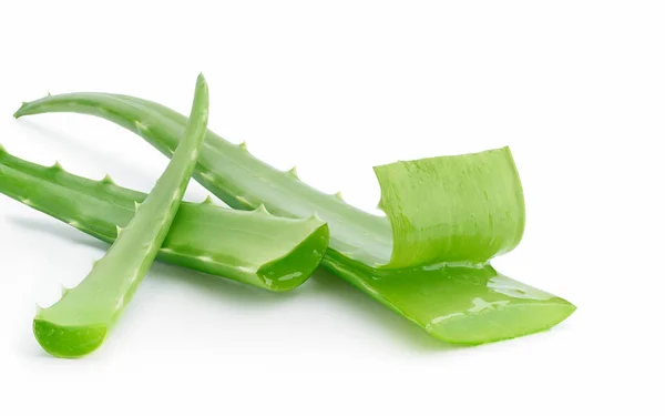 Aloe Vera Terisolasi Pada Latar Belakang Putih Termasuk Jalur Kliping — Stok Foto