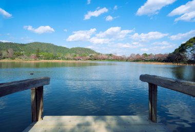 Baharda doğa manzaralı gölün önündeki ahşap rıhtım.