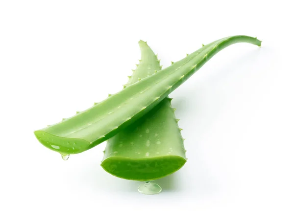 Aloe Vera Στάζει Λευκό Φόντο Περικοπή Διαδρομής Που Περιλαμβάνονται — Φωτογραφία Αρχείου