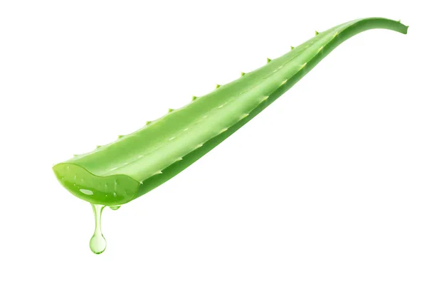 Aloe vera beyaz arkaplandan damlıyor
