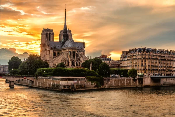 Katedra Notre Dame Paris Francja — Zdjęcie stockowe