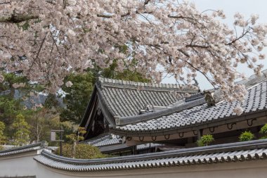 Nara mimarisi içinde Japonya