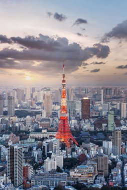 Doğal görünümünü Tokyo şehir manzarası, Japonya