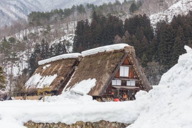 Gündüz, merkezi Japonya'nın Shirakawago Köyü'nde mimarisinin doğal görünümü