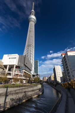 Tokyo, Japonya - 16 Kasım: Tokyo Skytree dönüm noktası, en yüksek serbest duran dünyanın Kulesi ve Japonya'nın en yüksek yapısı 634 m aşağıdan yayın.
