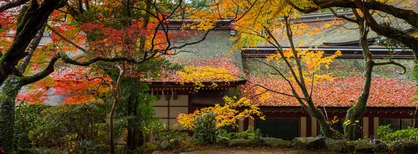 Coloridos Árboles Otoñales Parque Fondo Del Edificio Asiático — Foto de Stock