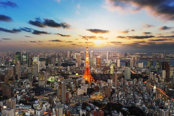 Doğal Görünümünü Tokyo Şehir Manzarası Japonya — Stok fotoğraf