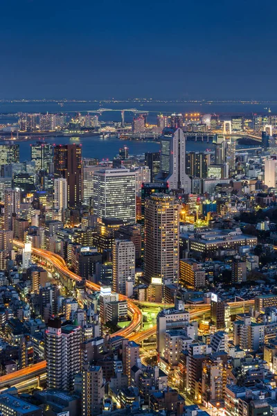 Vacker Utsikt Över Tokyo City Skyline Japan — Stockfoto