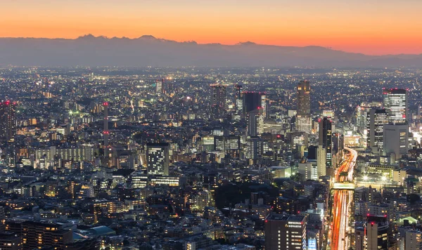 Vista Panorámica Ciudad Tokio Skyline Japón — Foto de Stock