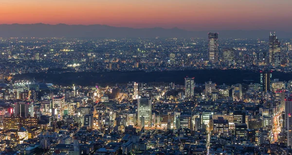 Vista Panorámica Ciudad Tokio Skyline Japón — Foto de Stock