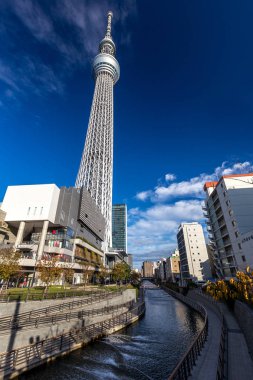 Tokyo, Japonya - 16 Kasım: Tokyo Skytree dönüm noktası, en yüksek serbest duran dünyanın Kulesi ve Japonya'nın en yüksek yapısı 634 m aşağıdan yayın.