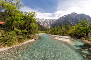 Doğal peyzaj dağlar ağaçlar ve nehir önünde