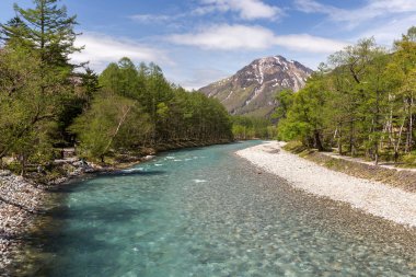 Doğal peyzaj dağlar ağaçlar ve nehir önünde