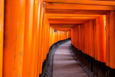 Kırmızı tori gate adlı fushimi Inari tapınak Kyoto, Japonya