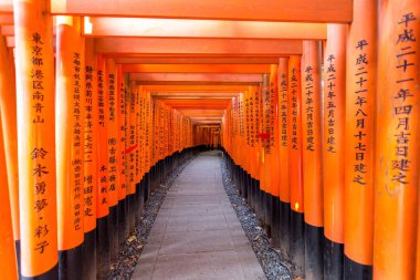 Kırmızı tori gate adlı fushimi Inari tapınak Kyoto, Japonya