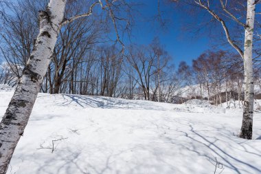 Görüntüleme Niigata bölgesindeki gündüz, Japonya, kar ülkenin