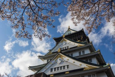 Çiçek açması sakura ağaçları, Japonya ile çevrili antik Osaka Tapınak
