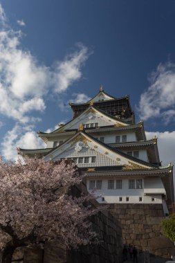 Çiçek açması sakura ağaçları, Japonya ile çevrili antik Osaka Tapınak