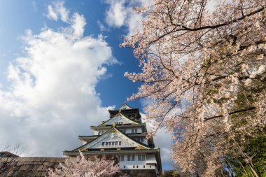 Çiçek açması sakura ağaçları, Japonya ile çevrili antik Osaka Tapınak