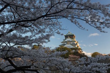 Gündüz Japonya ağaçlarıyla çevrili antik Kyoto tapınak görünümünü