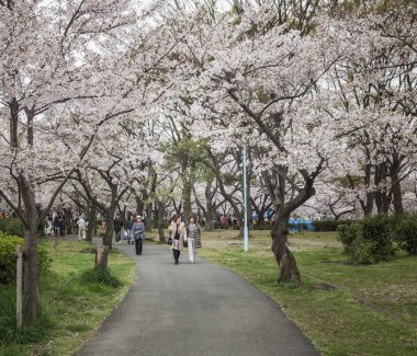 Osaka bahçe içinde Japonya
