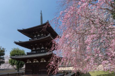 Gündüz Japonya ağaçlarıyla çevrili antik Kyoto tapınak görünümünü